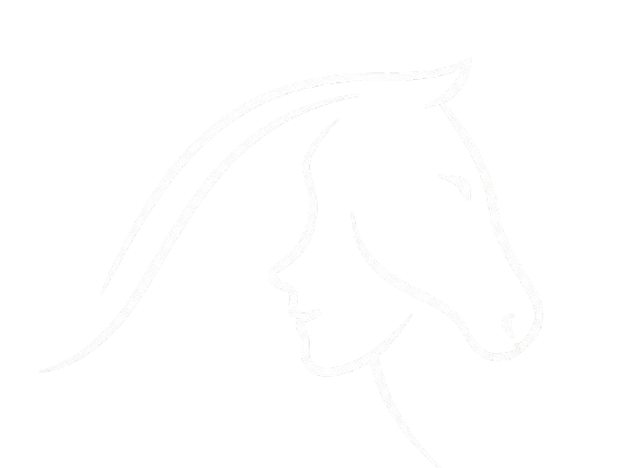 24b9ad26 4151 4eb9 a2b7 c40d5d72fa44 removebg preview